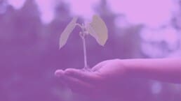 ekologia, csr, esg, pire