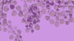 PIRE, polska izba rozwoju elektromobilności